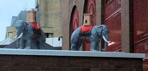 Bolton Elephants
